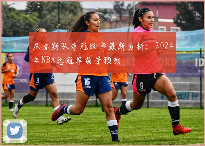 尼克斯队夺冠赔率最新分析：2024年NBA总冠军前景预测